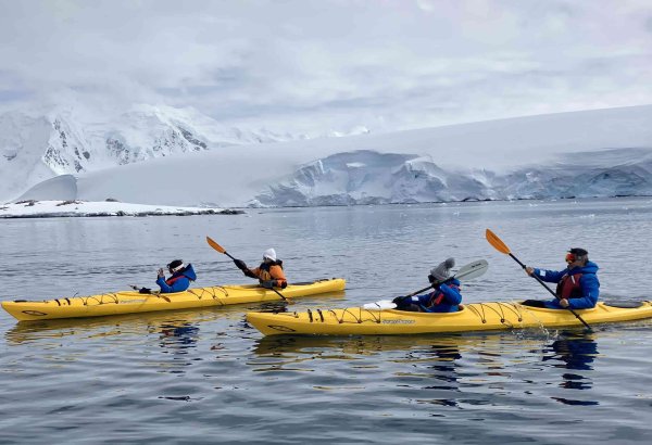 kayaking ocean albatros