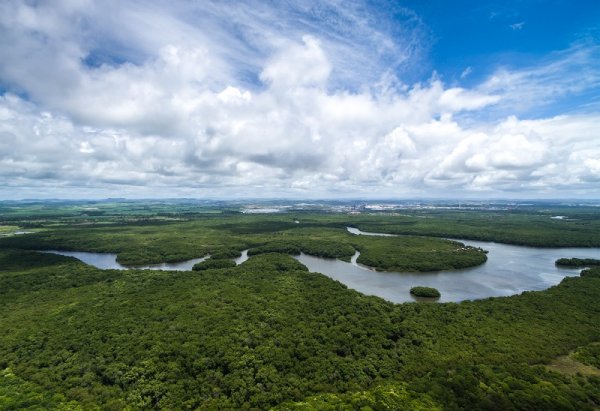 Amazon Rainforest, South America