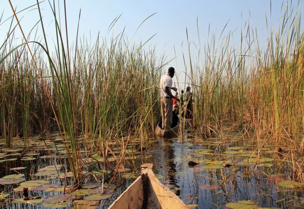 Travel to Botswana and enjoy a traditional mokoro ride