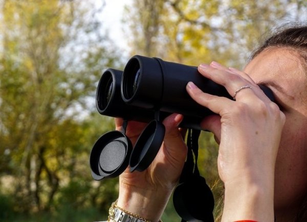 Visit Subantarctic and bring your Binocular