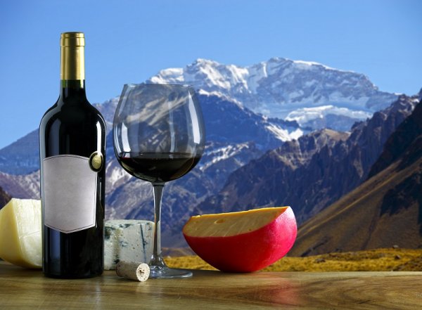 Argentina's wines are renowned internationally