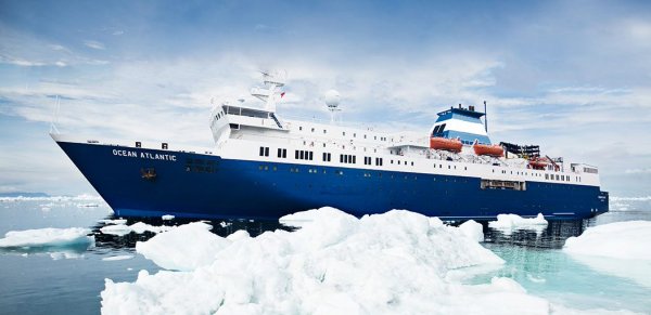 Cruise ship Ocean Atlantic sailing through the icebergs 