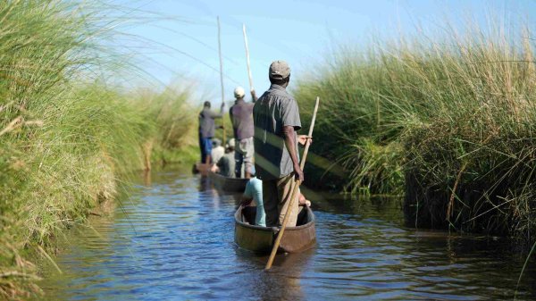 Chobe National Park Locals and tourist in wetlands of the Okavango