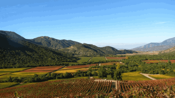 Experience Vik Winery Retreat in Chile