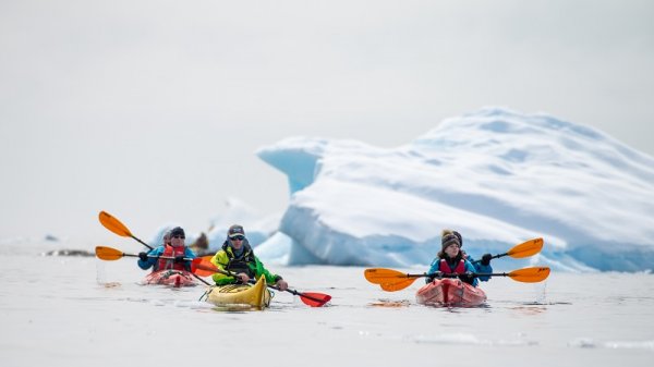 Kayaking in Wilhelmina Bay 