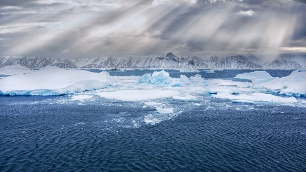 Home of Emperor Penguin, Snow Hill Island 