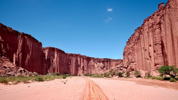 Explore the amazing parque Nacional Talampaya & Ichiliguastu