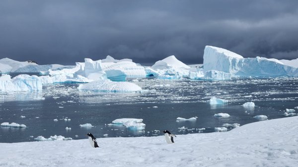Early season in Antarctica