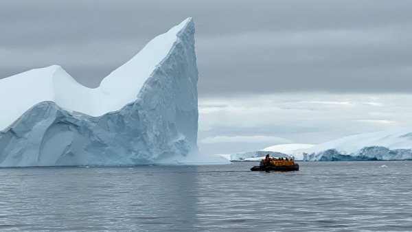 Zodiac iceberg