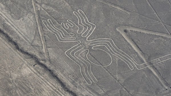 The Spider - Nazca Lines, Peru