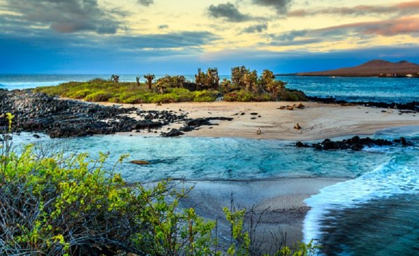 Galapagos Islands, Ecuador