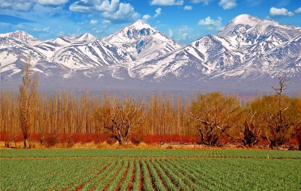  Andean mountains along Route 40 in Argentina