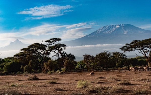 View of Mt Kilimanajaro from Tanzania