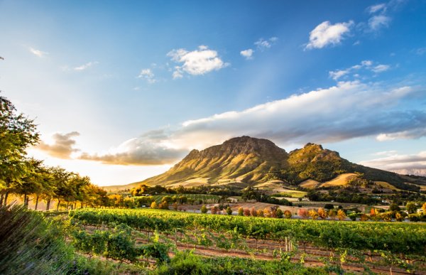 South Africa solo female travel Stellenbosch