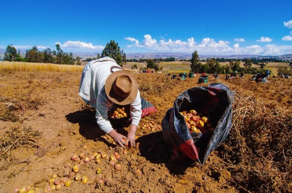 Locals working on a farm in South America