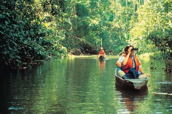 Wildlife watching in Amazon Jungle in Ecuador