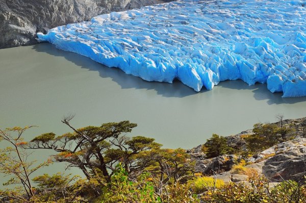 The view of Grey Glacier & Lake from above