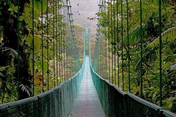 Monteverde hanging bridges Costa Rica