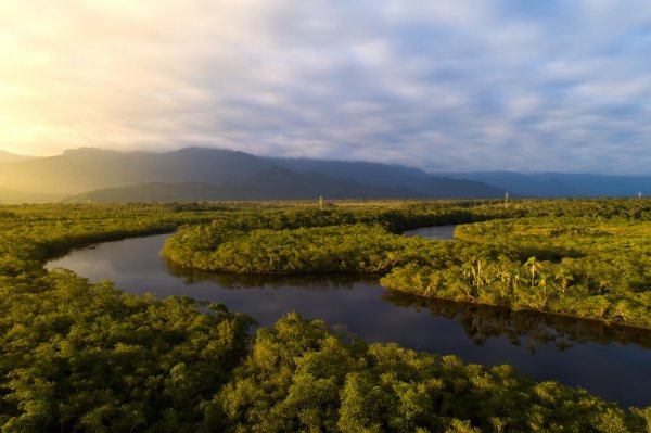 Amazon River