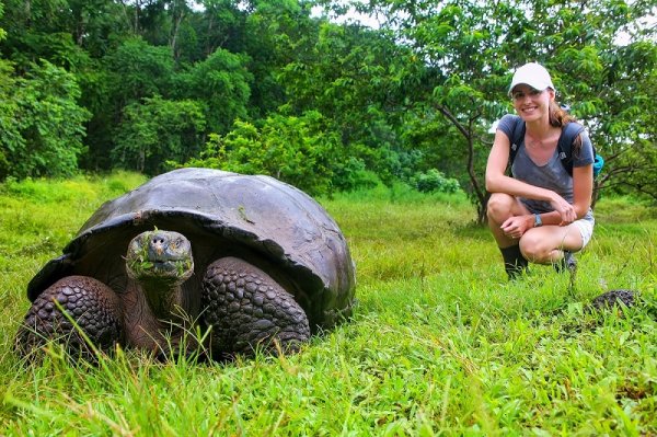 Tourist and a giant tortoise 