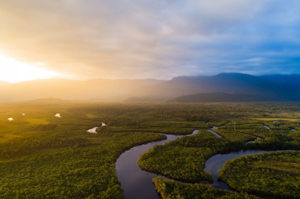 Amazon Rainforest, Brazil