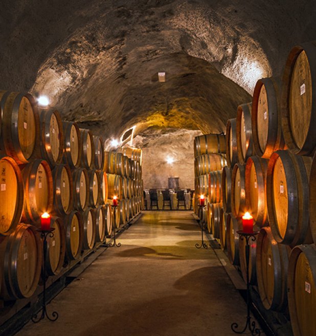 Wine Cave Gibbston Valley