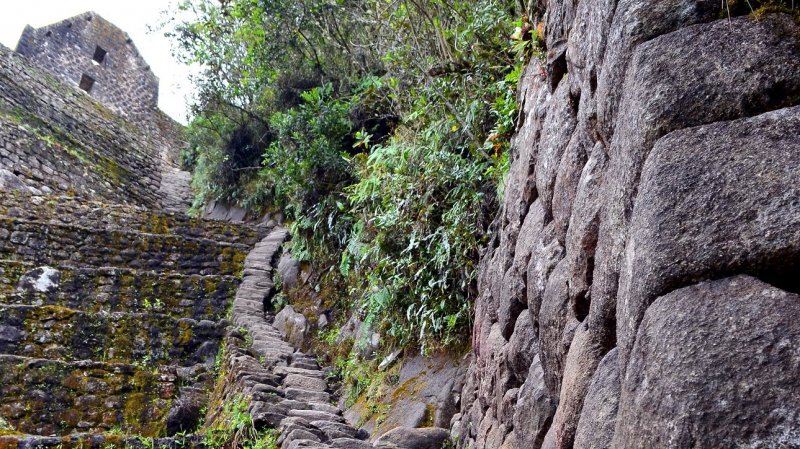 Machu Picchu Trial Inca Huayna Picchu 