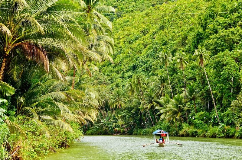 Discover the Amazon rainforest and its amazing wildlife