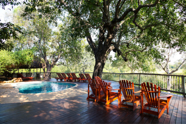 Deckchairs and pool overlooking the bush at Sabi Sabi Private Game Reserve