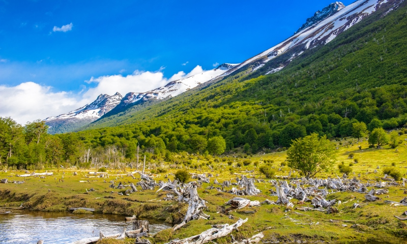 You will find Tierra del Fuego at the southernmost tip of South America