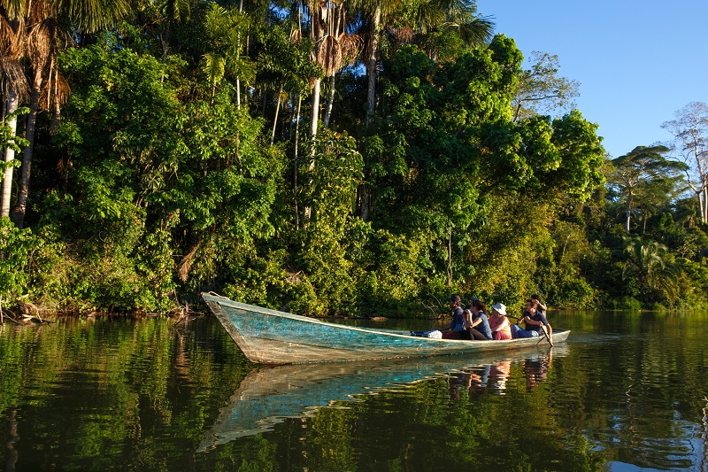  Amazon Rainforest