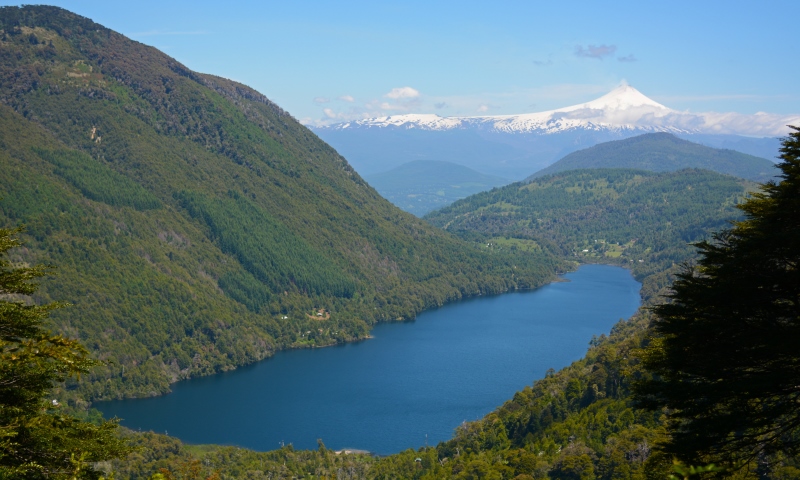 Go on a trek in the beautiful forest of Huerquehue National Park