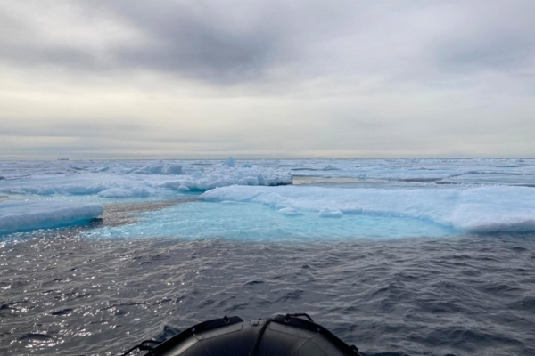 View from the zodiac over icebergs