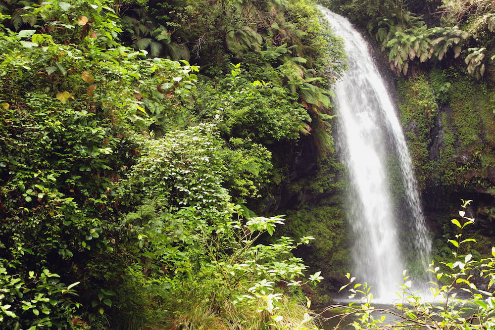 Amber Mountain National Park.