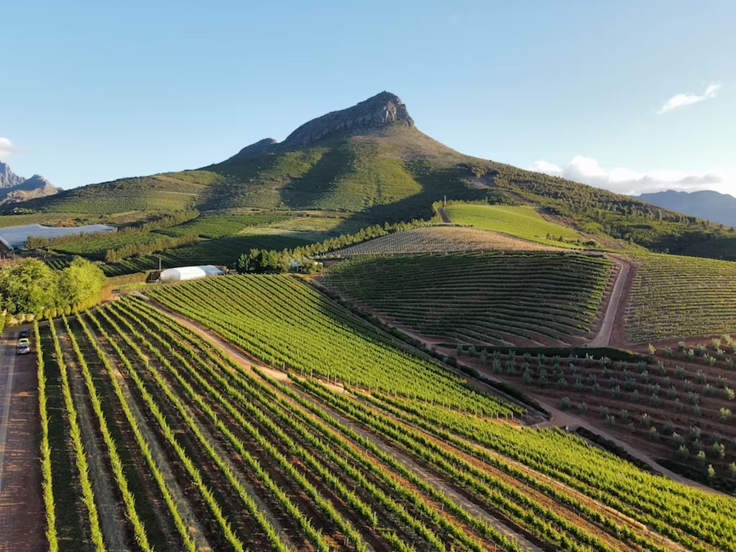 South Africa's oldest and most famous wine route.