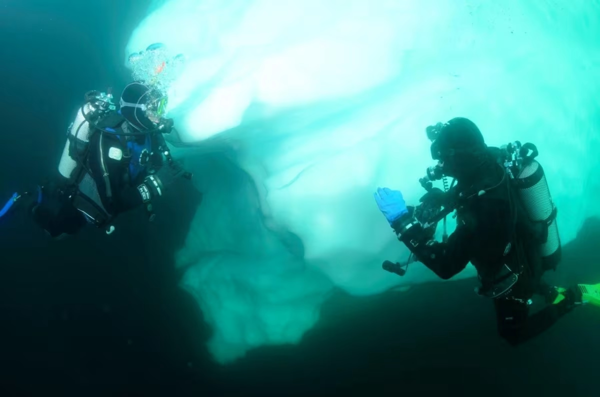 Scuba Diving in Antarctica.