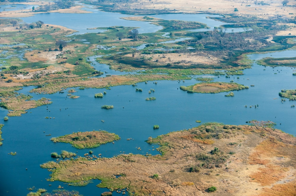 Aerial view of the Okavango Delta