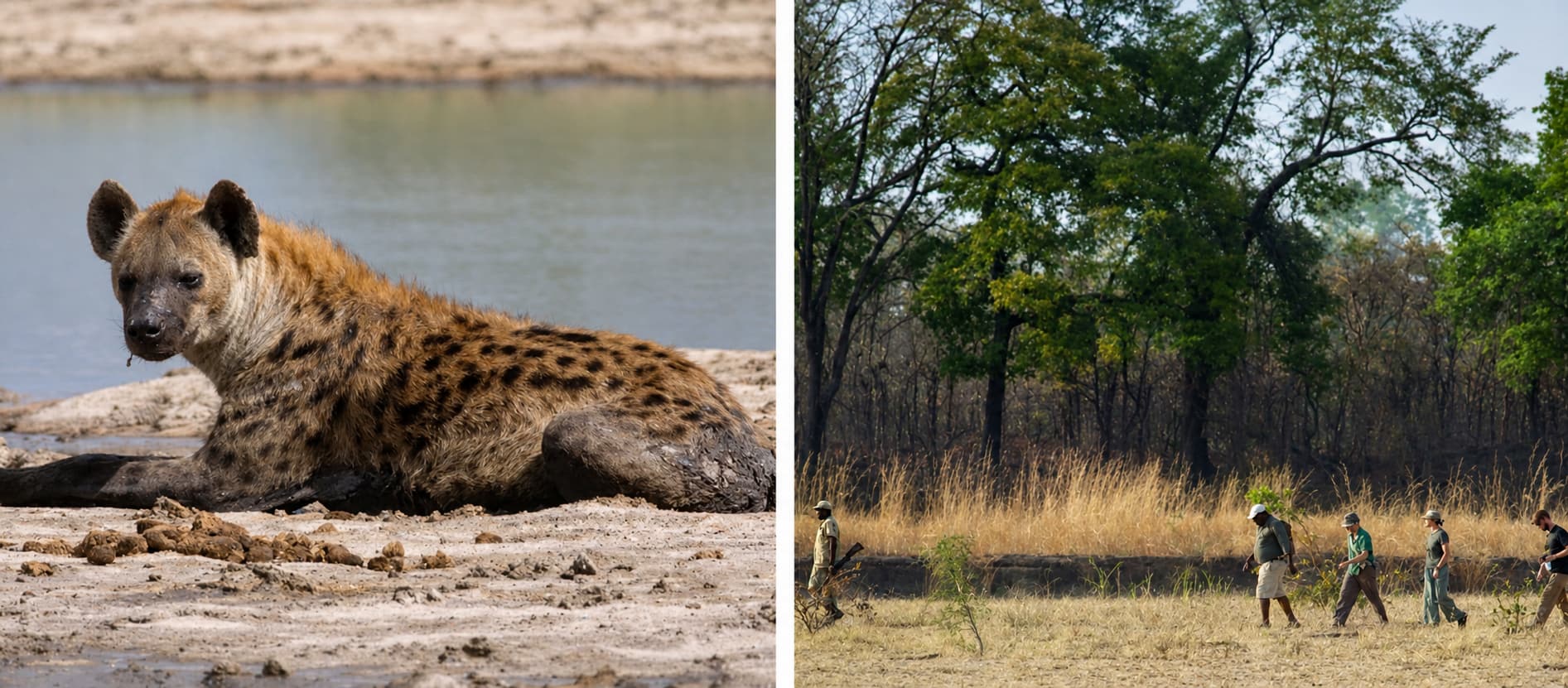 Top Africa Tour: Walking Safari in Zambia