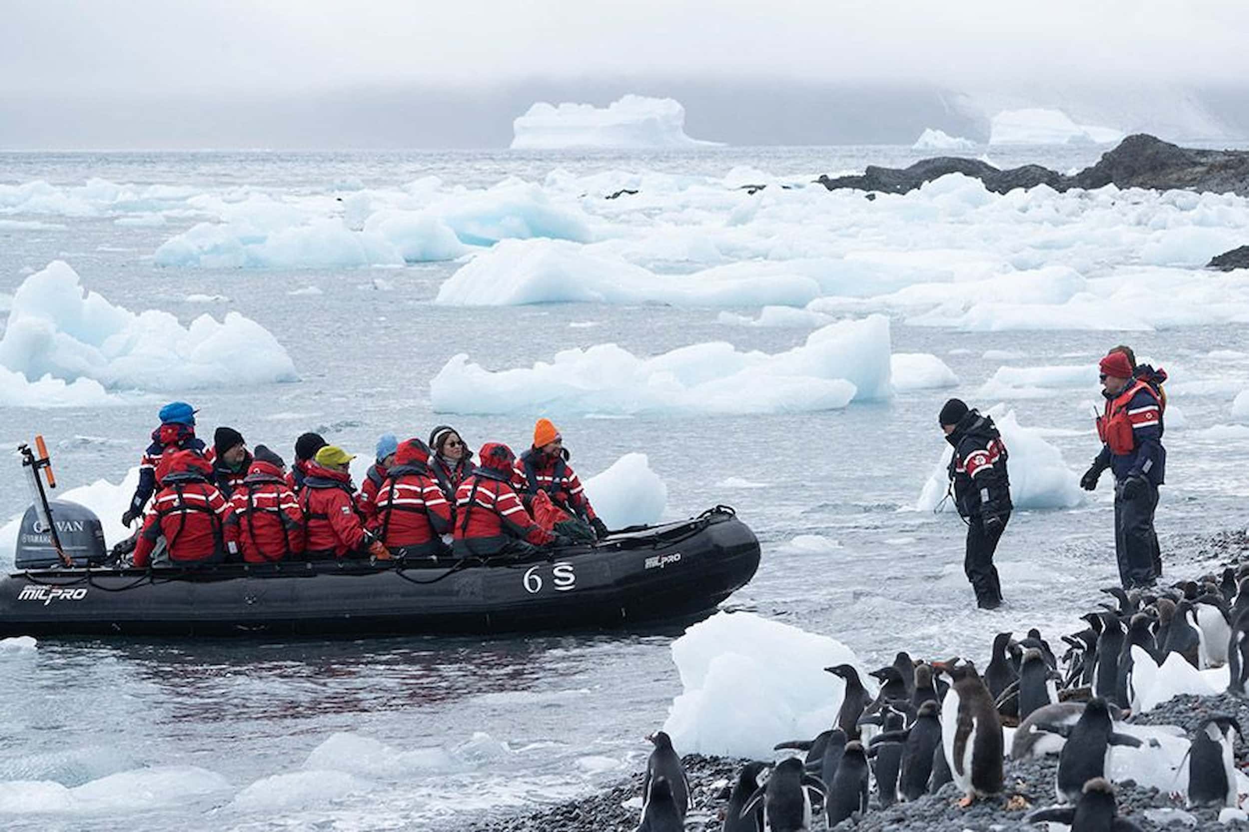 Cruising frozen waters by zodiac, led by an expert guide.