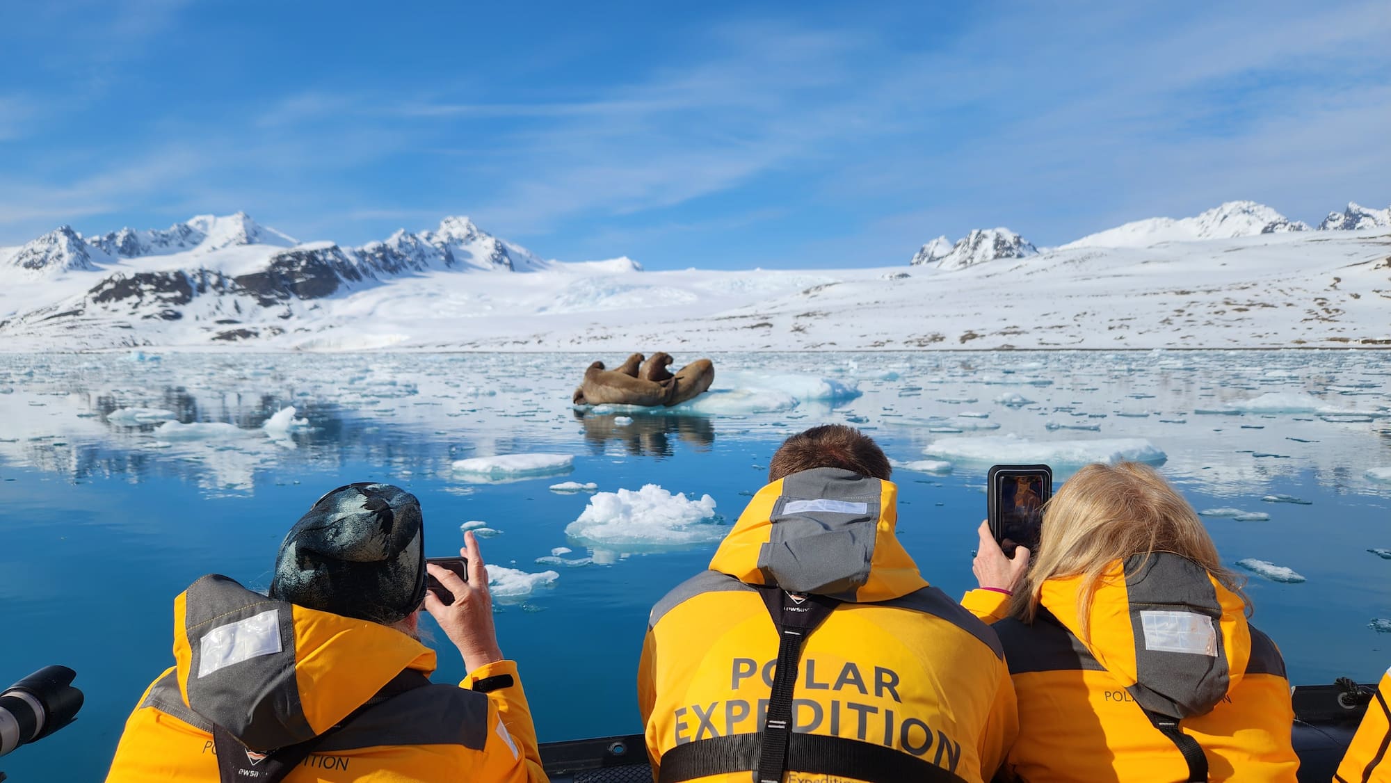 Arctic expedition guests in a Zodiac photographing walrus on sea ice