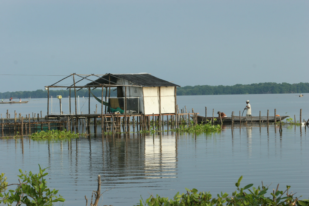 Colourful stilt houses on the Magdalena River, Colombia, seen from AmaWaterways river cruise.