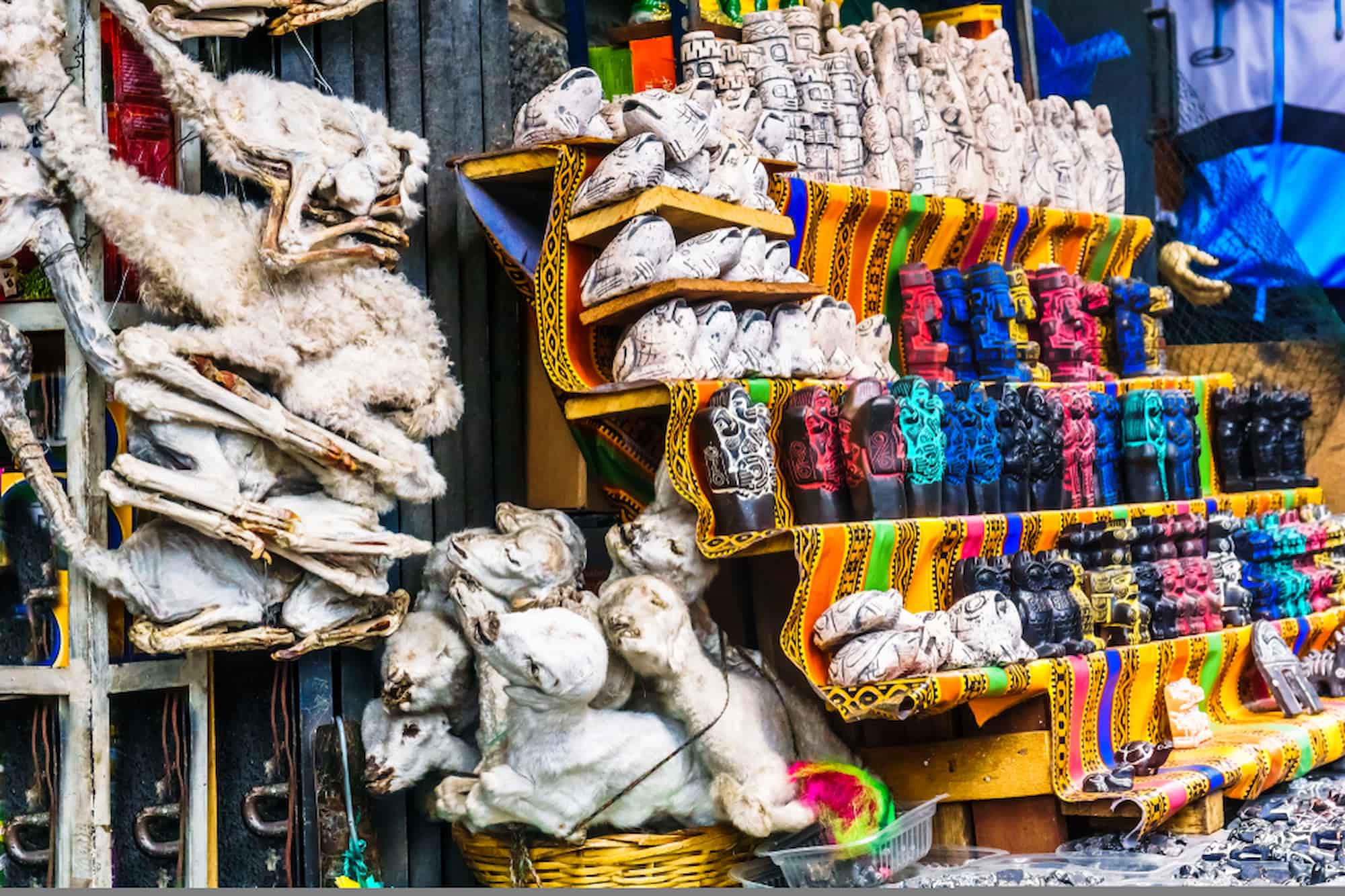Witch Market in La Paz. Witch Market in La Paz.