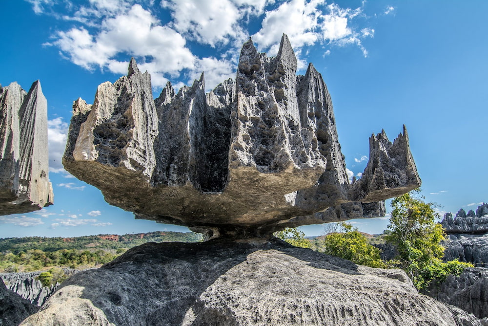 The limestone formations in Tsingy de Bemaraha.