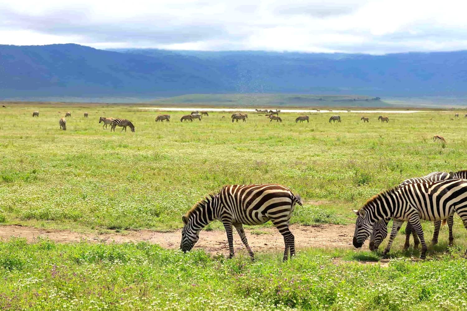 Tanzania's Ngorongoro Crater