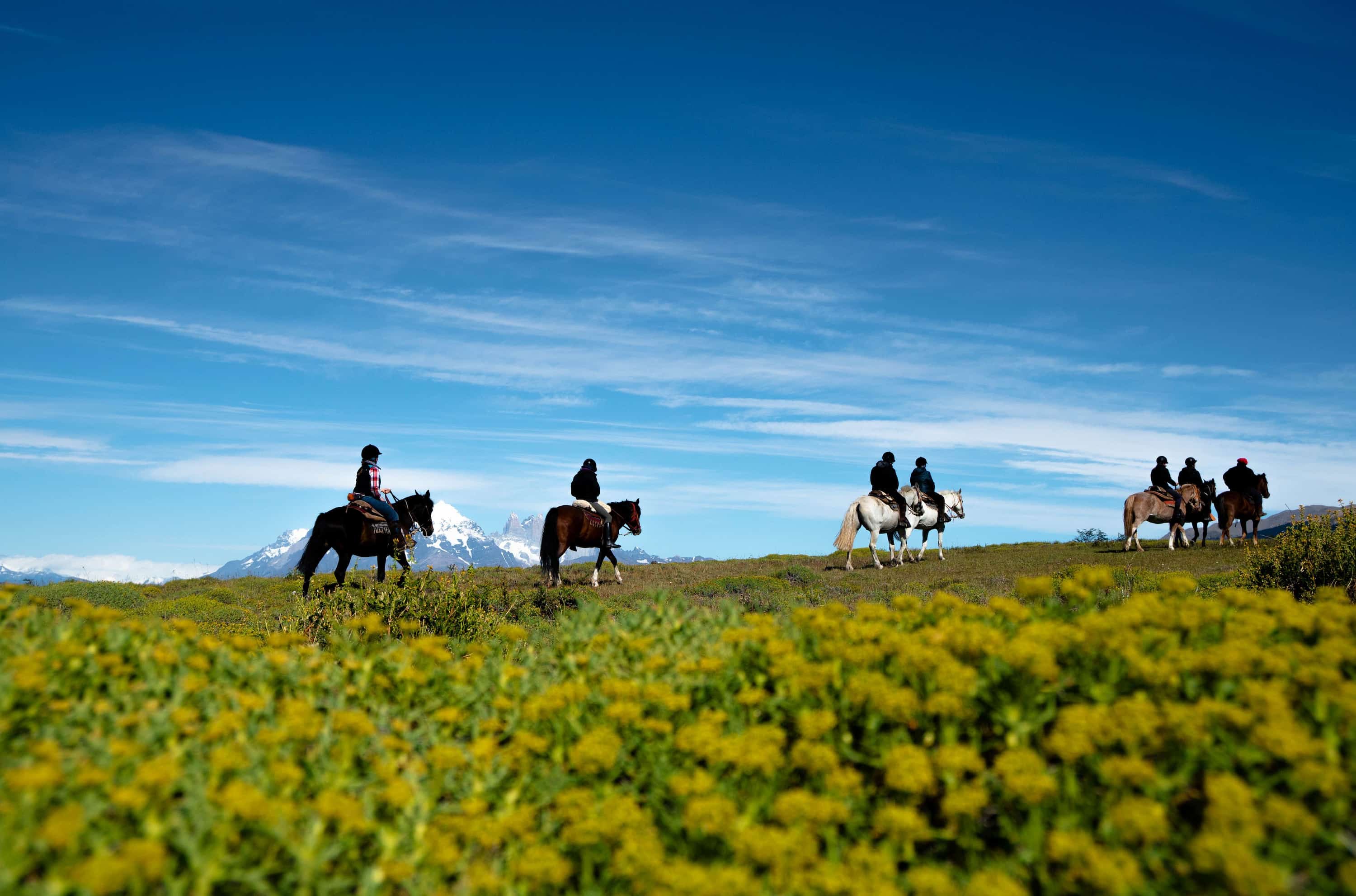 Horseback riding in the Torres del Paine, Chile