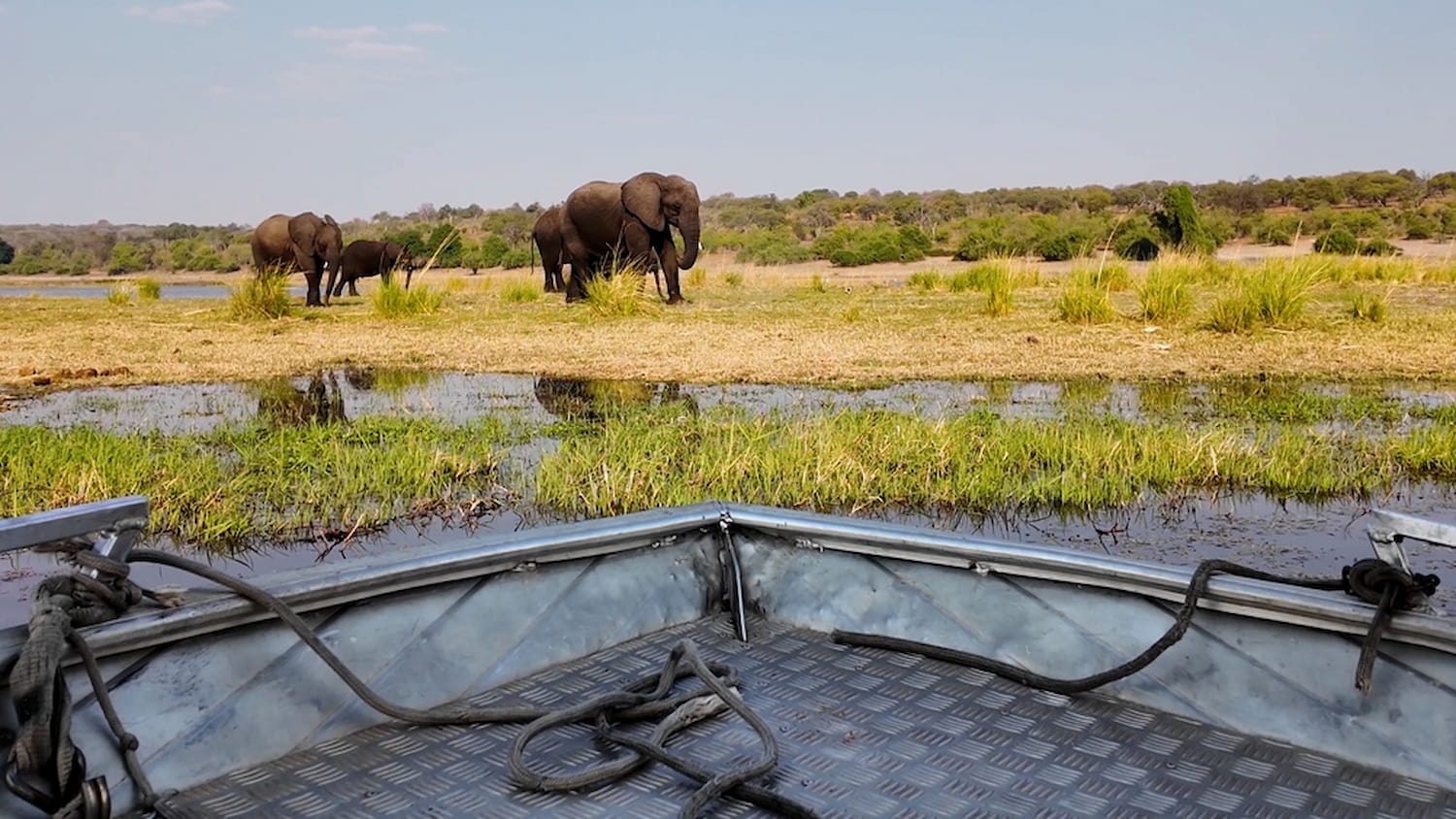 safari boat trip looking out to elephants roaming the Chobe Reserve in Botswana.