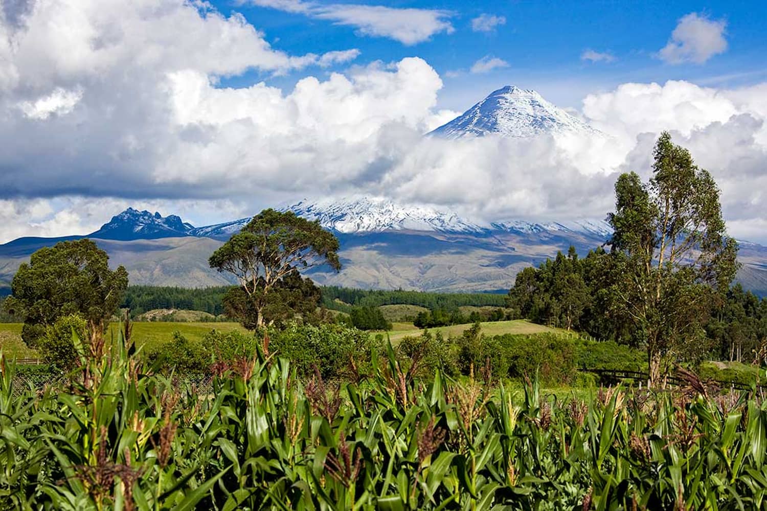 Cotopaxi Volcano, Ecuador