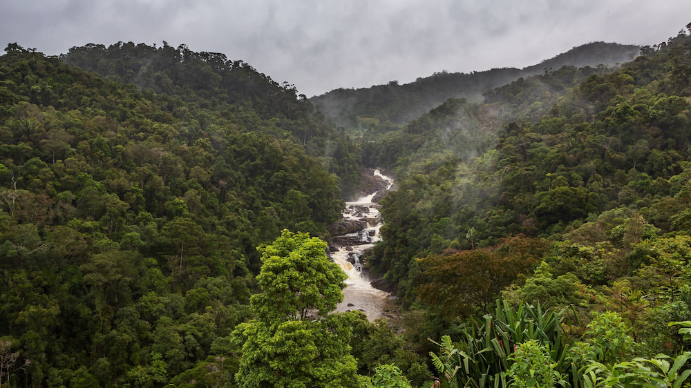 A UNESCO-listed Ranomafana National Park.