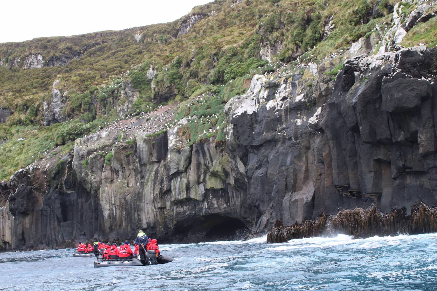 Zodiac cruising in Snares Island.