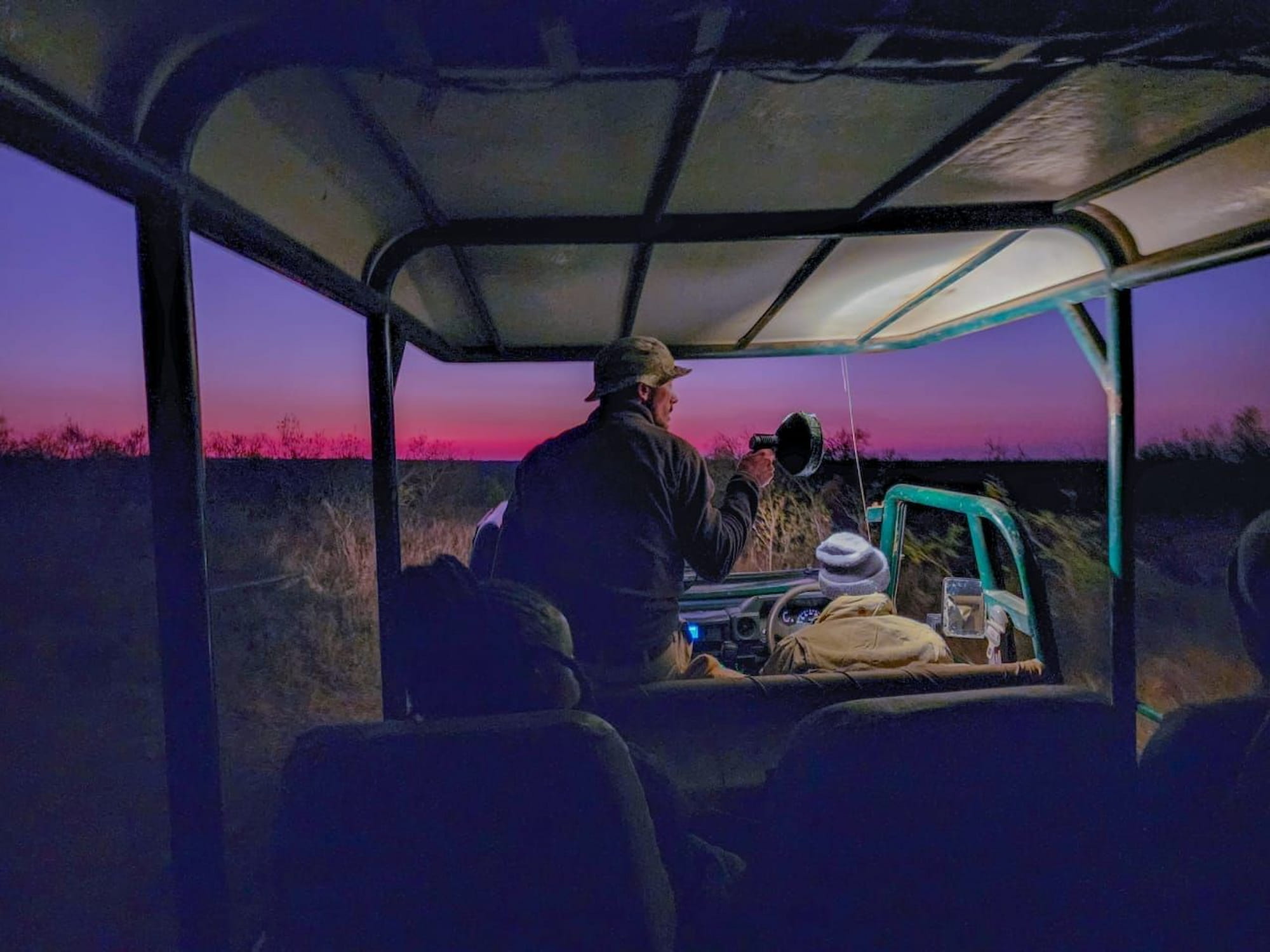 Early morning safari